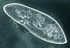 09000y2i-19d3-240x164.jpg