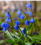 09000y82-d662-173x189.png