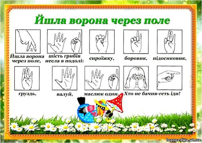 09000zv5-515e-646x458.jpg