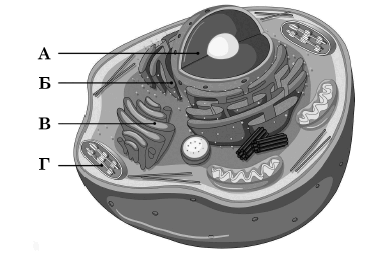 09000zye-30e7-372x253.png