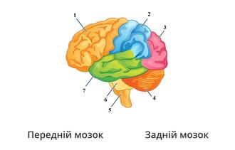 0900131b-7344-330x211.jpg
