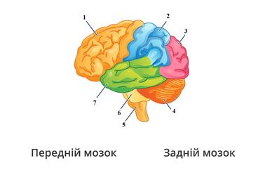 0900131b-7344-378x242.jpg
