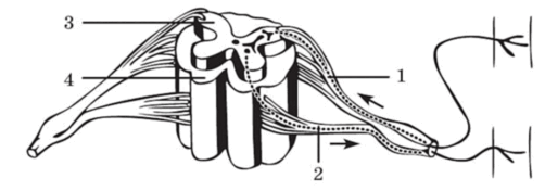 090014y0-b1cb-502x176.png