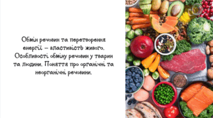 Обмін речовин та перетворення енергії.