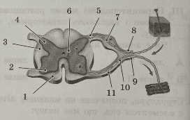 090018cg-5267-272x173.png
