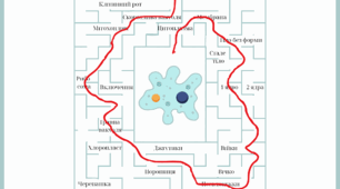 Лабіринт. Одноклітинні еукаріоти