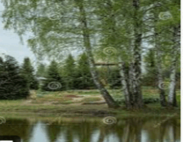 09001ayf-5489-257x200.png