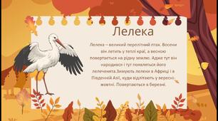 Інтерактивна презентація-Перелітні птахи