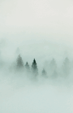 09001c1d-1365-235x366.png