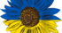 Презентація. Шолом-Алейхем (1859–1916). «Тев’є молочар».Тема історичного зламу, який пройшов крізь долю людини і народу на межі XIX–XX ст.