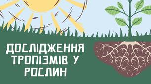 ДОСЛІДЖЕННЯ ТРОПІЗМІВ У РОСЛИН