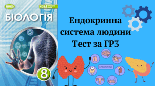 Ендокринна система людини. 8 клас НУШ ГР2