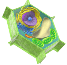 09001jhk-3590-158x153.png