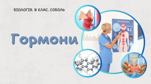 8 клас НУШ. Гормони 