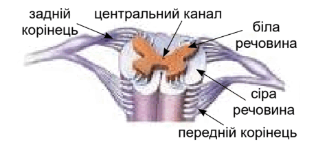 09001qkz-88b9-460x221.png