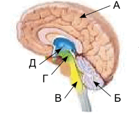 09001qtr-27a5-273x224.png
