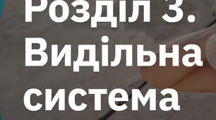 ВИДІЛЬНА СИСТЕМА 