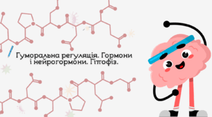 Гуморальна регуляція. Гормони і нейрогормони. Гіпофіз.