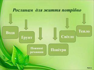 09001rbk-d172-310x233.jpg