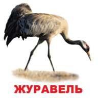 09001rqw-d420-192x192.png