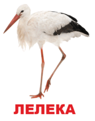 09001rre-0774-195x248.png