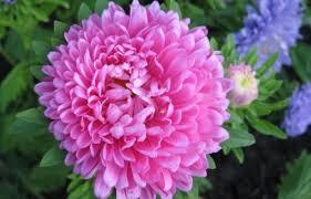 09001rtj-2e70-281x180.jpg