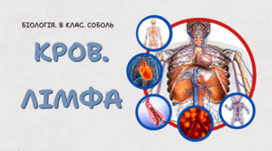 8 клас НУШ. Кров. Лімфа.