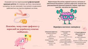 Рефлекторний принцип діяльності нервової системи. Рефлекси безумовні та умовні.