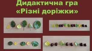 Дидактична гра "Різні доріжки"(логіка і математика)