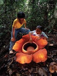 09001t5o-6dd2-195x258.jpg