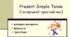 Present Simple Tense