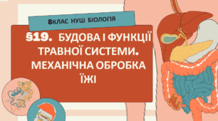Презентація  до уроку  «§19.  Будова і функції травної системи. Механічна обробка їжі»  8клас НУШ