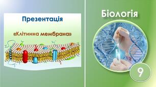 Презентація до теми: "Клітинна мембрана". Біологія 9 клас