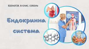 8 клас НУШ. Ендокринна система 