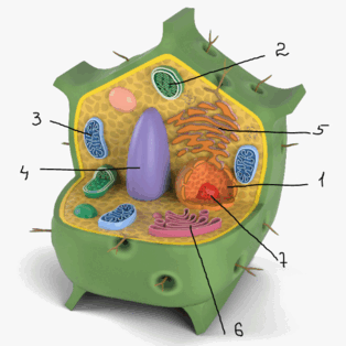 090024mt-896a-314x314.png