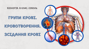 8 клас НУШ. Групи крові. Кровотворення. Зсідання крові