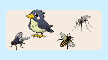 0900262n-7769-356x200.png