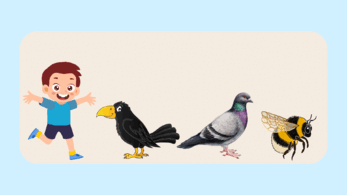 090026r7-75fb-347x195.png