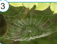 090026ve-b641-186x145.png