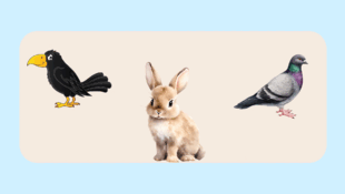 090026xf-0a38-310x175.png
