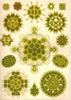 090027st-d44c-103x145.png