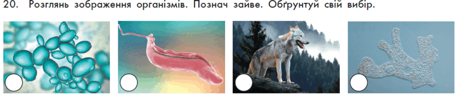 090028ky-42b9-940x201.png