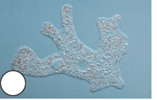 090028n7-3cbf-228x146.png