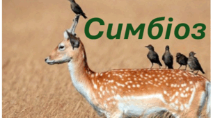 § 13. СИМБІОЗ ТА ЙОГО ФОРМИ
