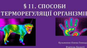 § 11. СПОСОБИ ТЕРМОРЕГУЛЯЦІЇ ОРГАНІЗМІВ