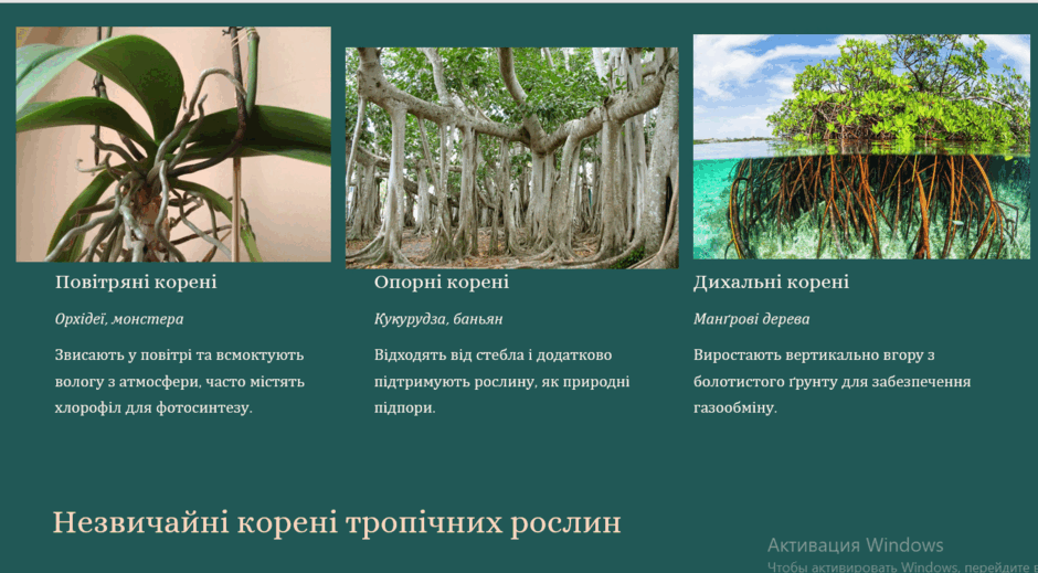 09002dzn-9504-940x519.png