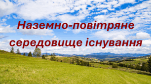 § 10 НАЗЕМНО-ПОВІТРЯНЕ СЕРЕДОВИЩЕ ІСНУВАННЯ