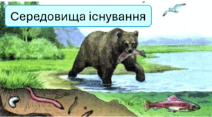 § 8 СЕРЕДОВИЩЕ ІСНУВАННЯ 