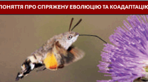 § 7. ПОНЯТТЯ ПРО СПРЯЖЕНУ ЕВОЛЮЦІЮ ТА КОАДАПТАЦІЮ
