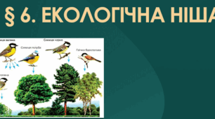 Екологічна ніша